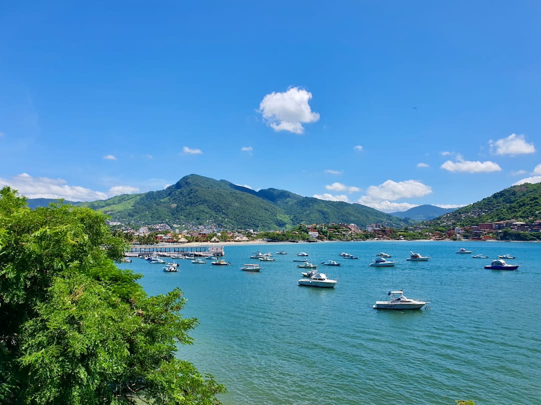 The Zihuatanejo pier at sunset, the fishing fleet moored in the calm bay, the town's hillside houses visible behind, a single fishing boat heading out through the bay entrance into the open Pacific