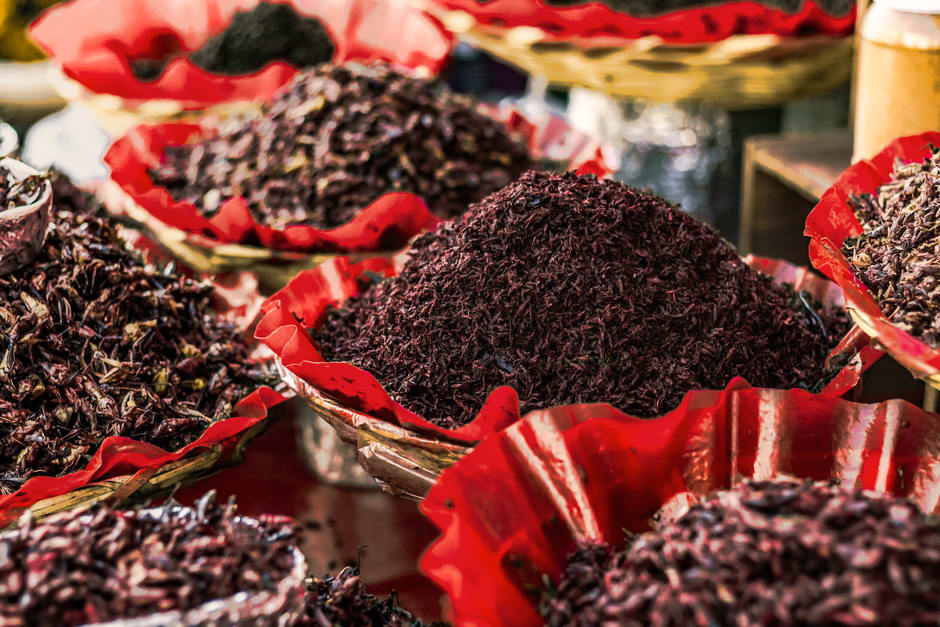 A Zapotec vendor arranging rounds of fresh white cheese and bundles of dried herbs at a morning market stall in Zimatlán de Álvarez