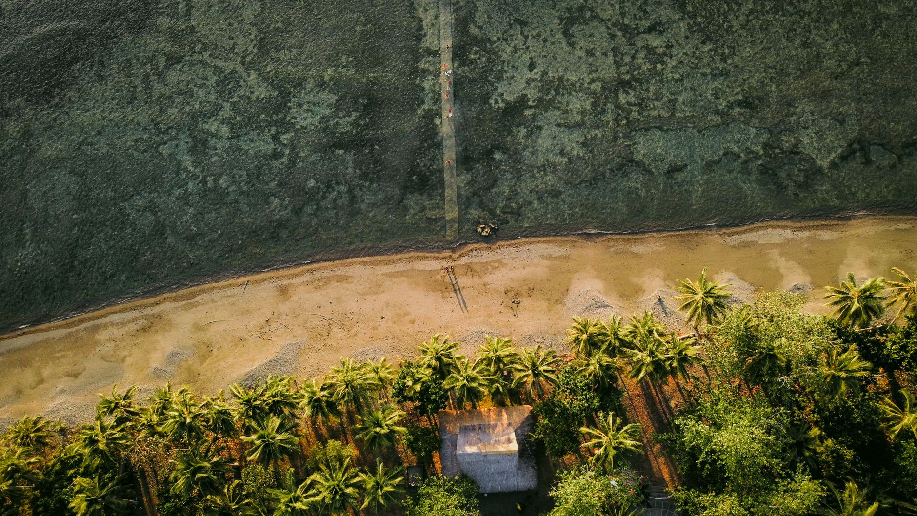 Puestos del mercado al aire libre de Colonia con mujeres locales vendiendo productos frescos, pescado y nuez de betel bajo un techo de chapa ondulada en Yap