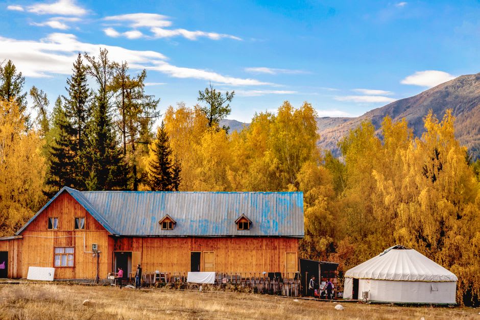 Small wooden houses and a quiet street in Bulgan town with green forested hills rising behind