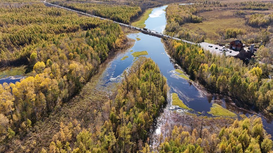 A slow bend of the Selbe river near Bulgan lined with birch trees in early autumn color