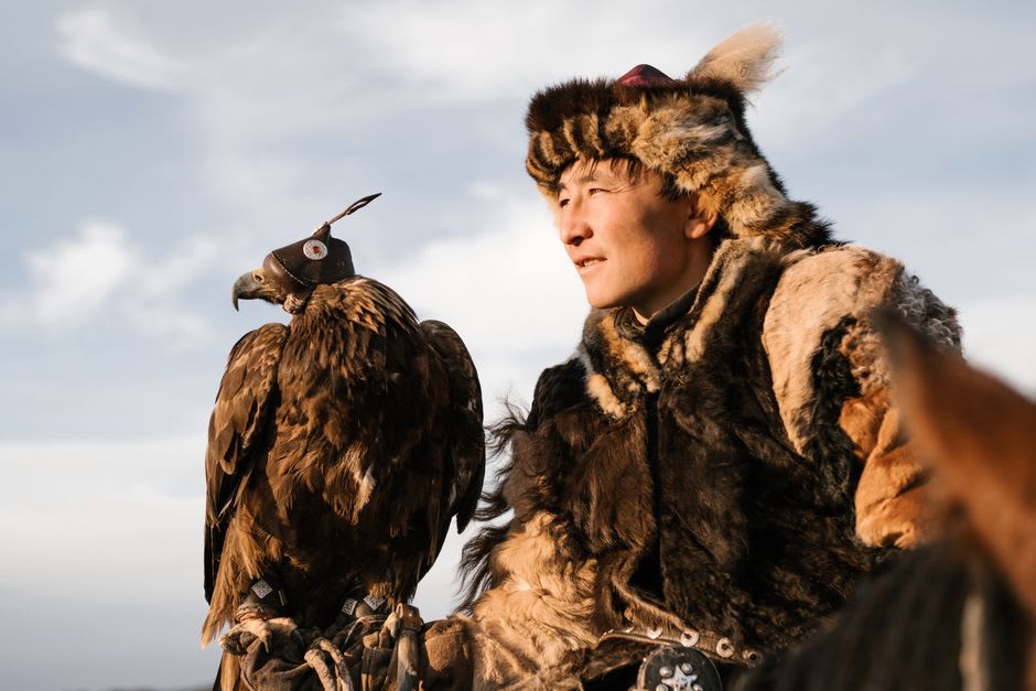 Golden eagle perched on a Kazakh hunter's gloved arm against a backdrop of snow-capped Altai peaks