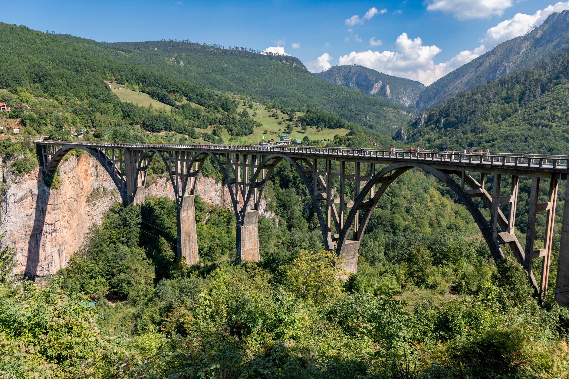 The Đurđevića Tara Bridge spanning the canyon, its concrete arches set against limestone walls and pine forest below