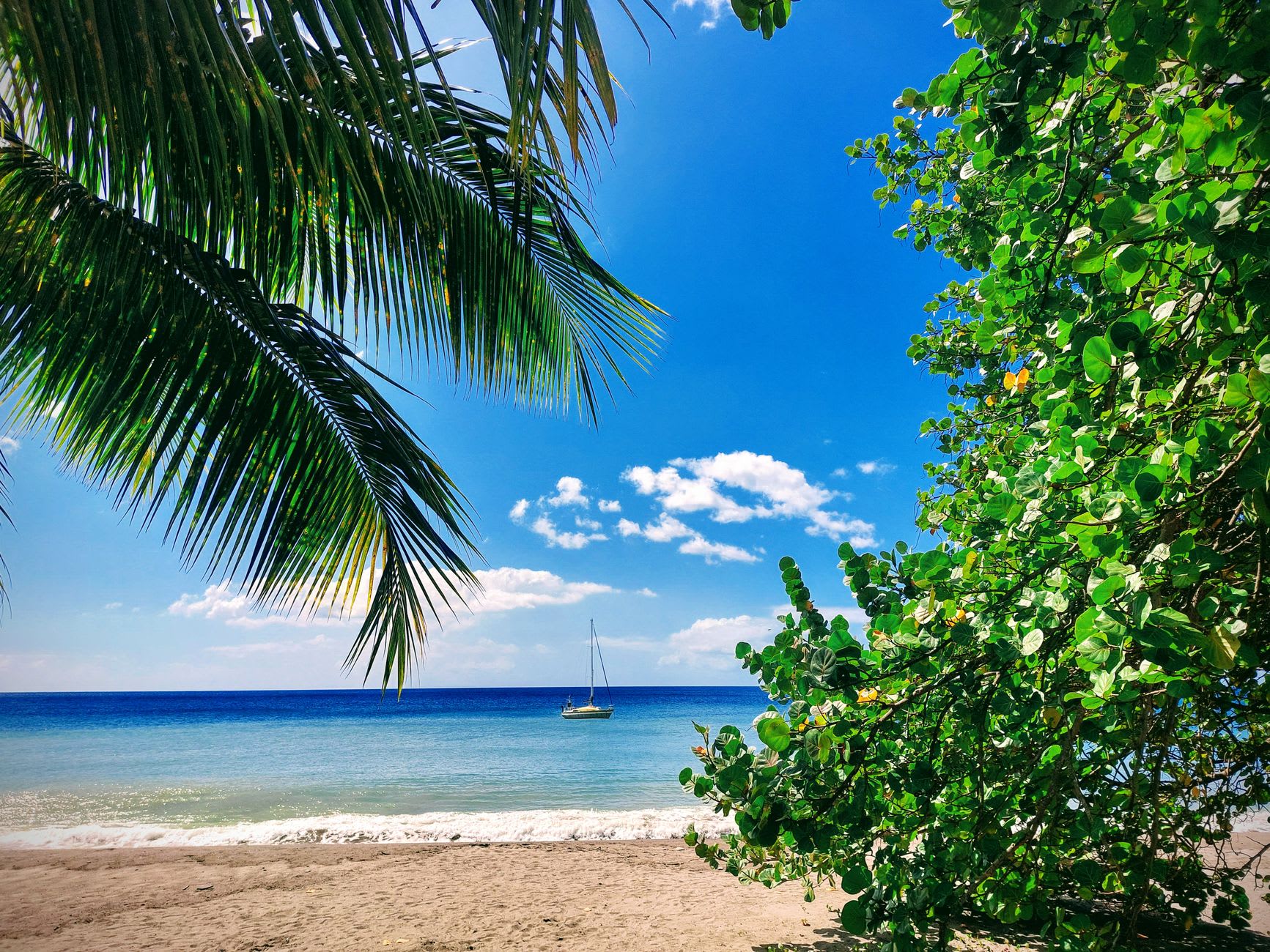 Woodlands Beach at low tide, dark volcanic sand with tide pools and the forested hillside behind, the sea a deep turquoise