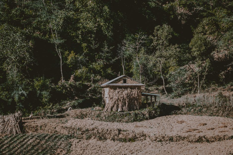 Cresta cubierta de pinos sobre Dadeldhura con laderas escalonadas cayendo hacia las llanuras