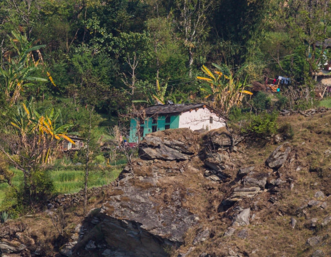Rizières et cultures de moutarde à travers la large vallée agricole de Surkhet