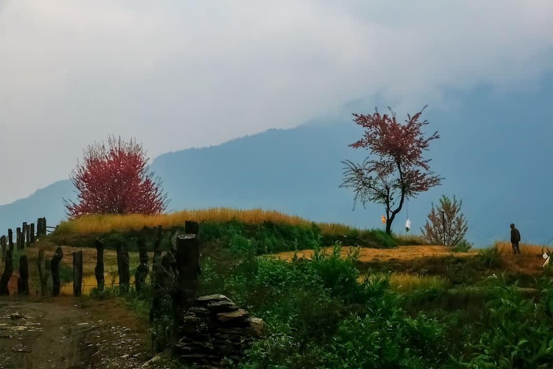 Vue sur la vallée de Surkhet depuis la crête près du temple de Deuti Bajai