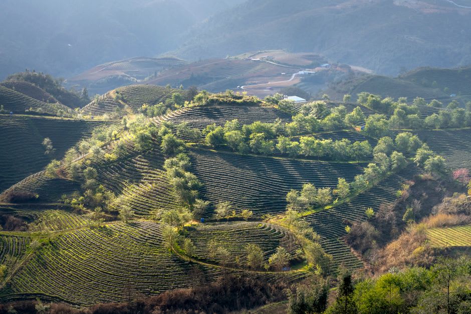 Terraced fields above Syabrubesi with the Langtang valley trailhead visible in the distance at dusk