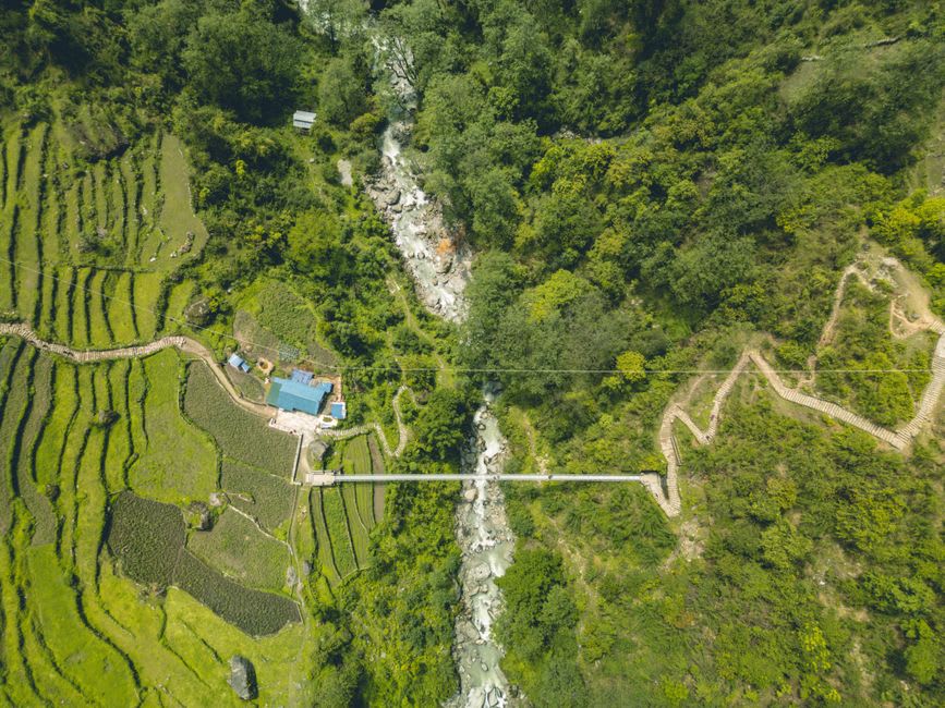 Orangers et bananiers bordant le sentier qui mène au village de Tatopani au-dessus de la rivière Kali Gandaki