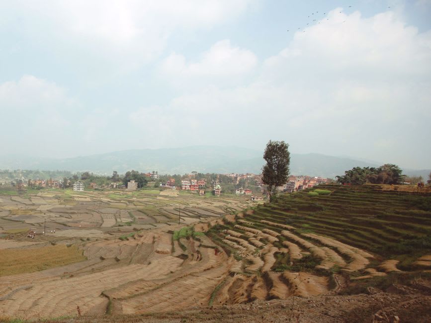 Unfired clay pots drying in rows in a pottery courtyard in Thimi, a wheel visible in the background