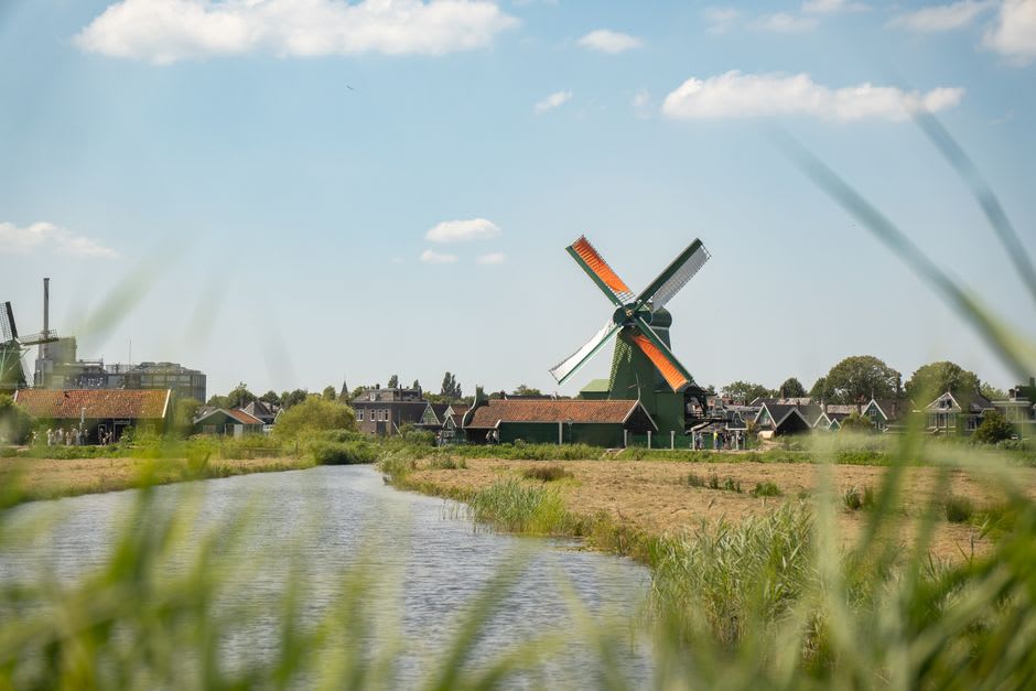 Green wooden windmill with sails turning above the Zaan River