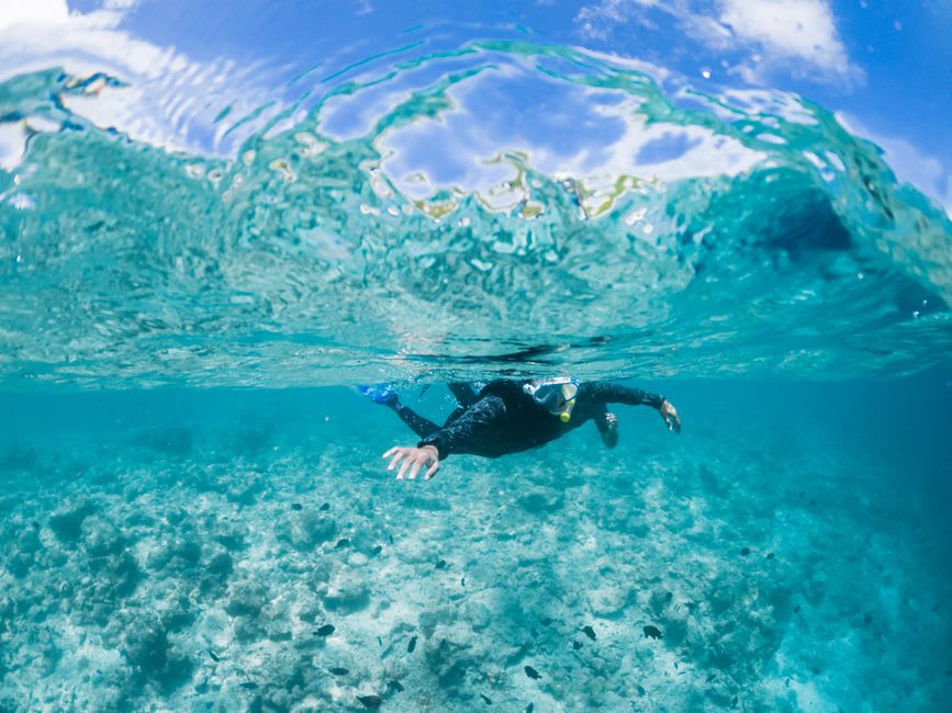 Buceadores con tubo en agua turquesa poco profunda cerca de Amédée, con la plataforma de coral visible bajo la superficie
