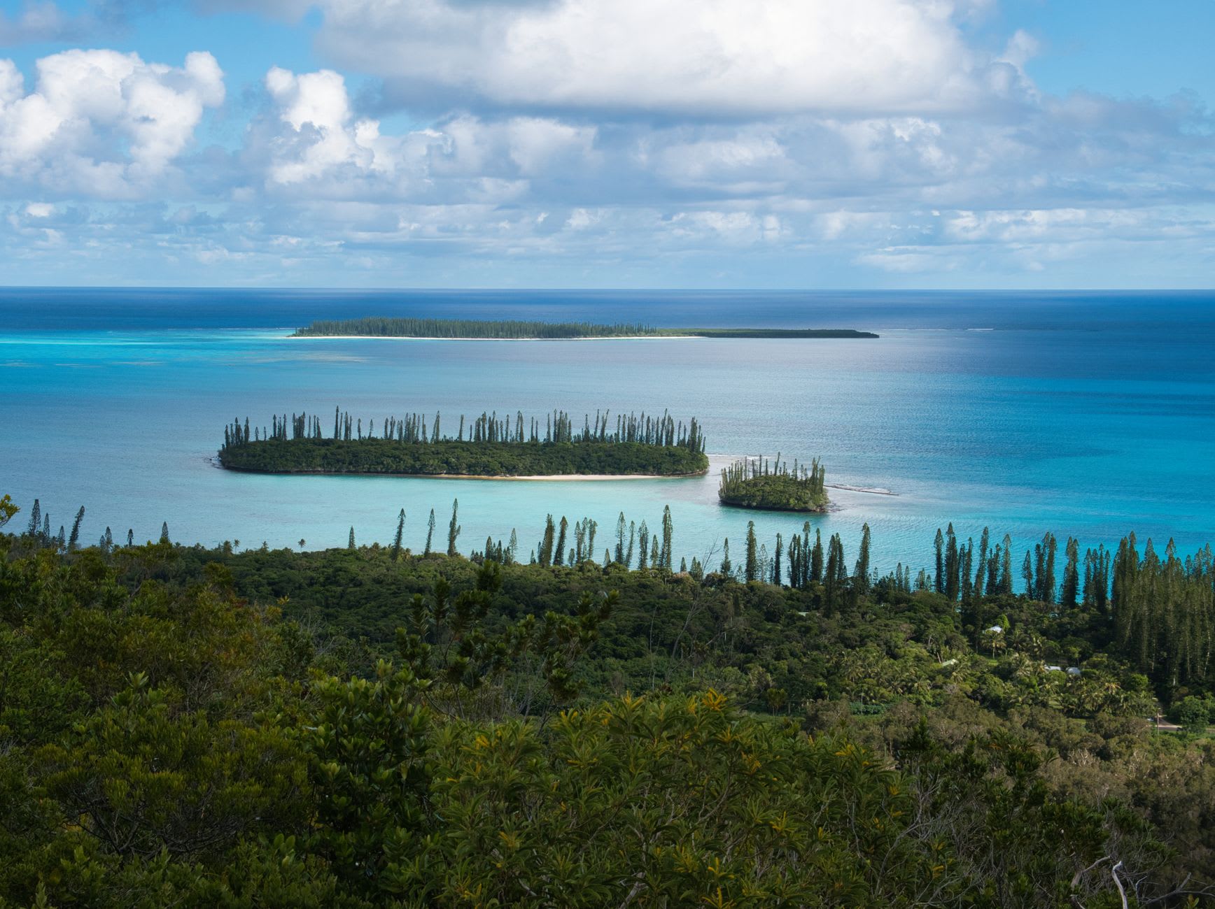 La meseta de coral interior de Maré con la luz de la tarde, roca blanca y matorral seco extendiéndose hacia un horizonte amplio