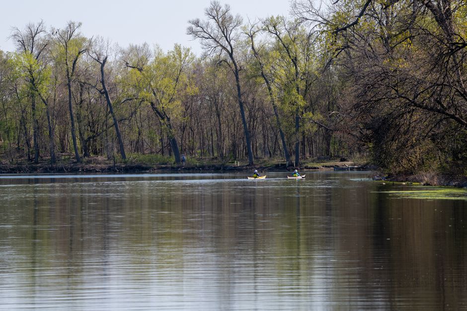 Un kayak deslizándose entre los troncos desnudos y blanqueados del bosque ahogado reflejados en agua oscura y quieta