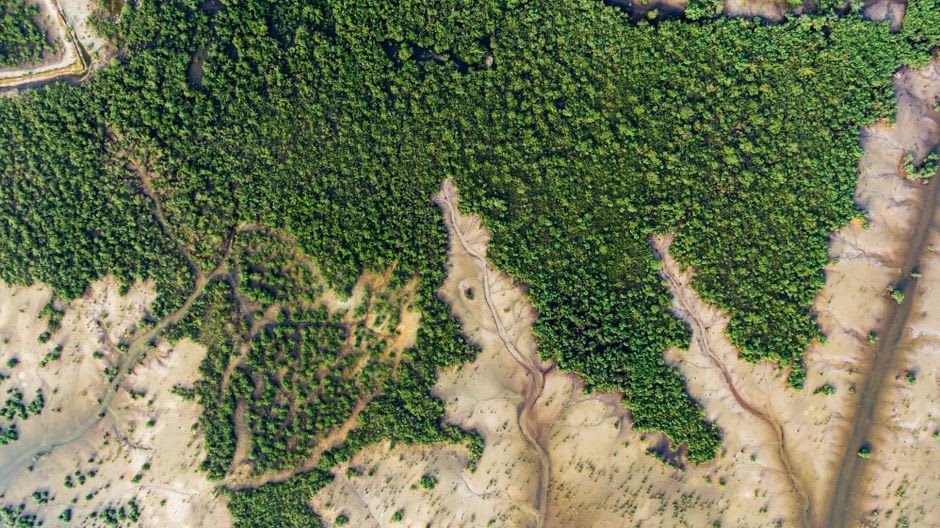 Aerial view through a small plane window of the heart-shaped Coeur de Voh mangrove clearing below