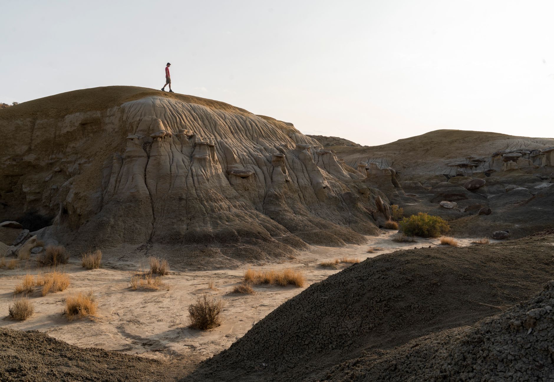 A cluster of hoodoo formations in the Bisti Badlands, their capped spires balanced above the eroded grey-ochre landscape
