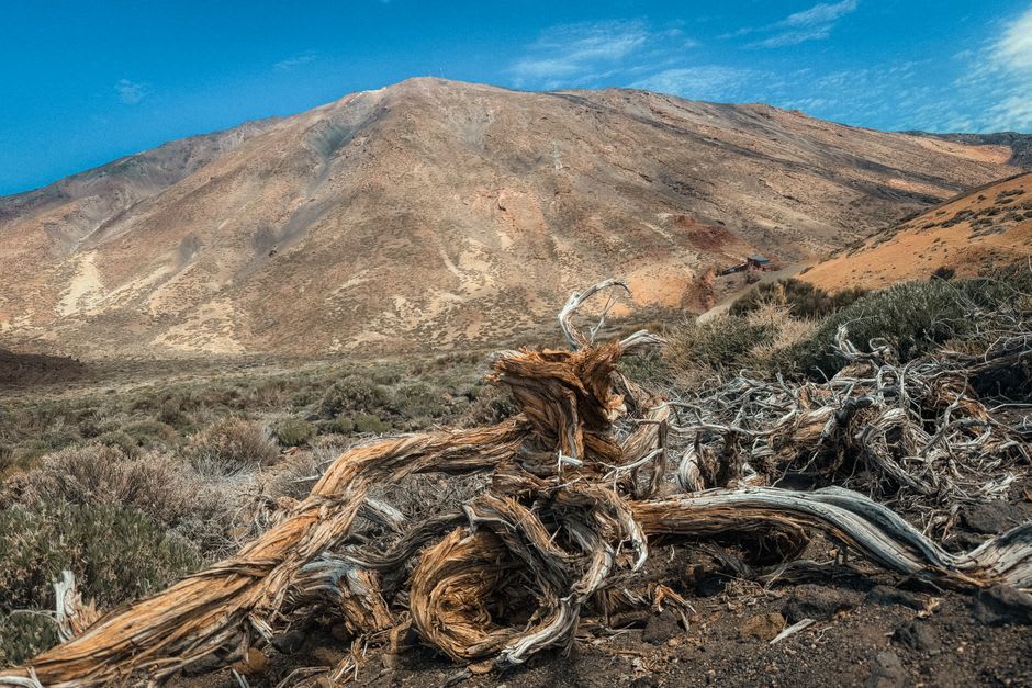 The steep, dry hiking trail leading up the Chiltepe Peninsula toward the rim of Apoyeque crater, sparse scrub vegetation under open sky