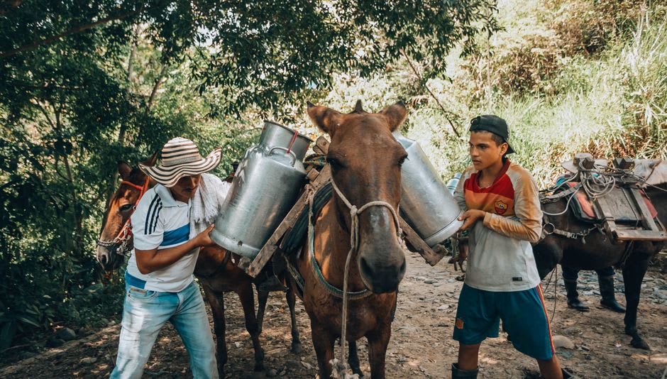 Ranchers loading milk cans at the weekly dairy market in Boaco's central plaza