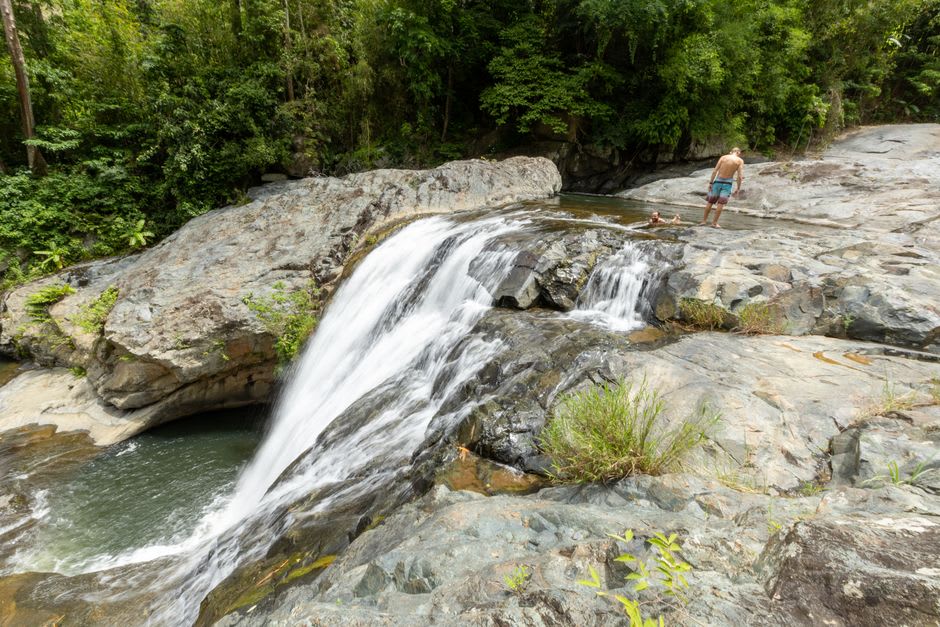 A cold clear pool beneath a cloud-forest waterfall outside La Dalia