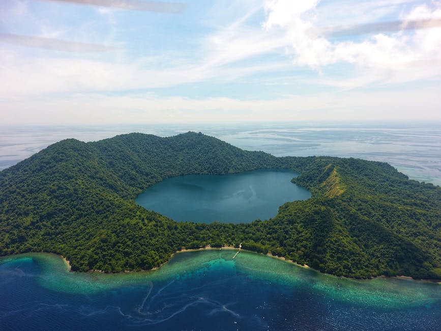 Lush tropical vegetation on a volcanic island