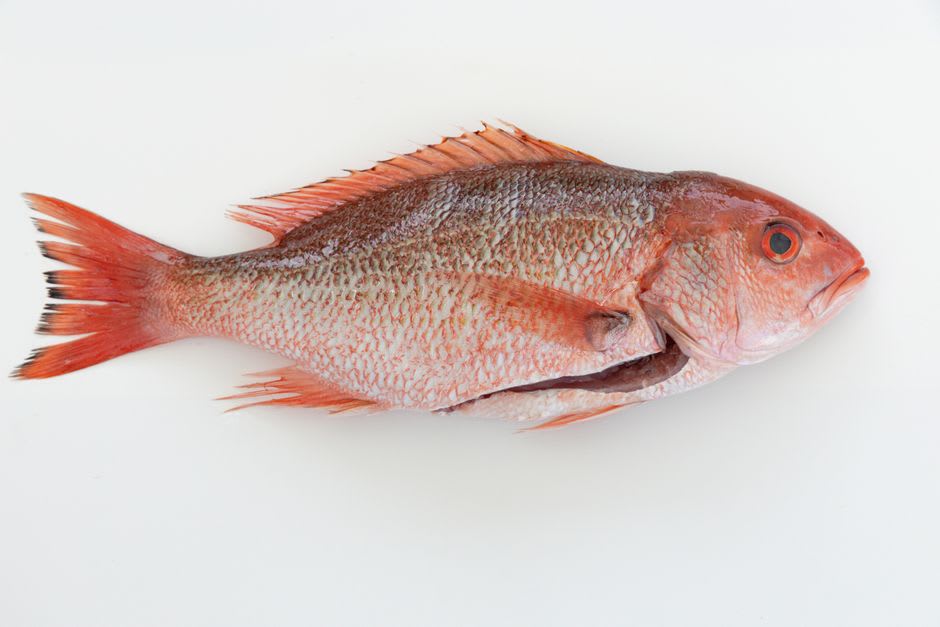 A woman frying freshly caught snapper on a porch kitchen in Pearl Lagoon