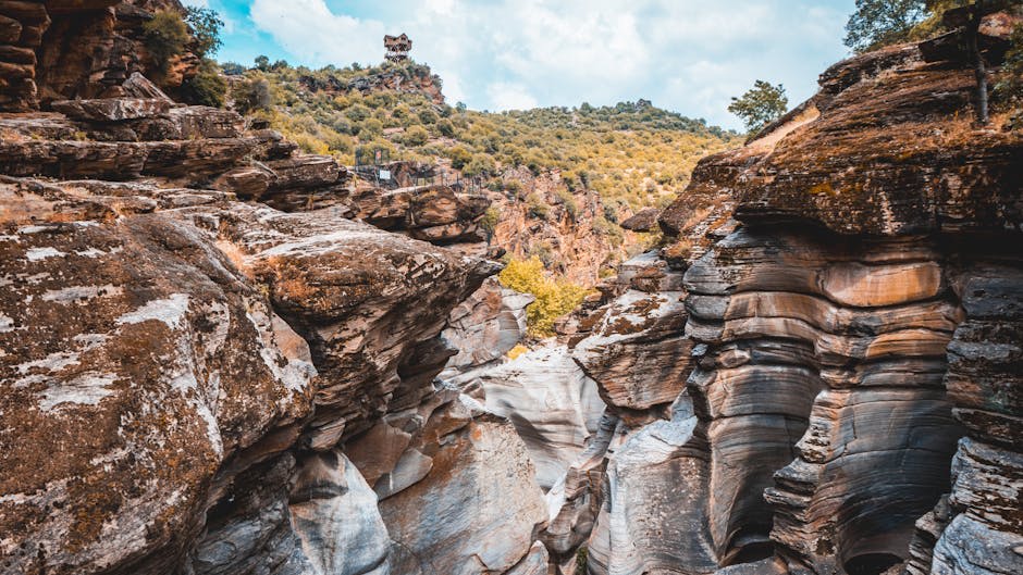 Canyon river with high rock walls and swimmers