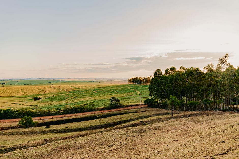 Una vista desde el borde de Wiwilí que muestra fincas terraceadas de pequeños productores dando paso a densa selva en el horizonte