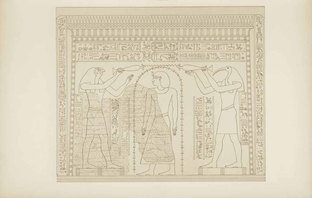 Detail of carved reliefs on the temple walls depicting the expedition to the Land of Punt