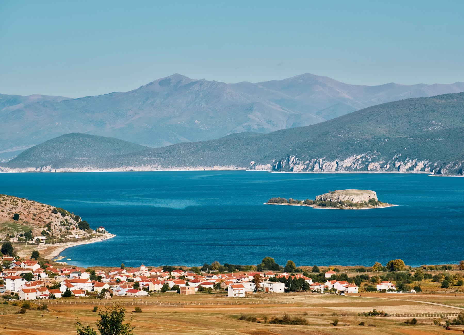 Des pélicans dalmates pêchant dans les lisières de roseaux peu profondes du lac Prespa à l'heure dorée, leurs reflets miroirs dans l'eau calme