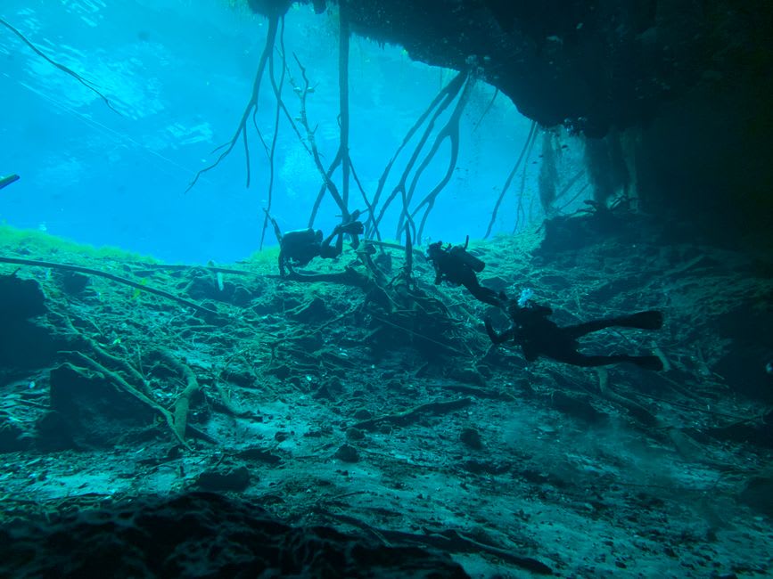 Un plongeur suspendu dans l'eau bleue et lumineuse de la grotte de Poço Azul