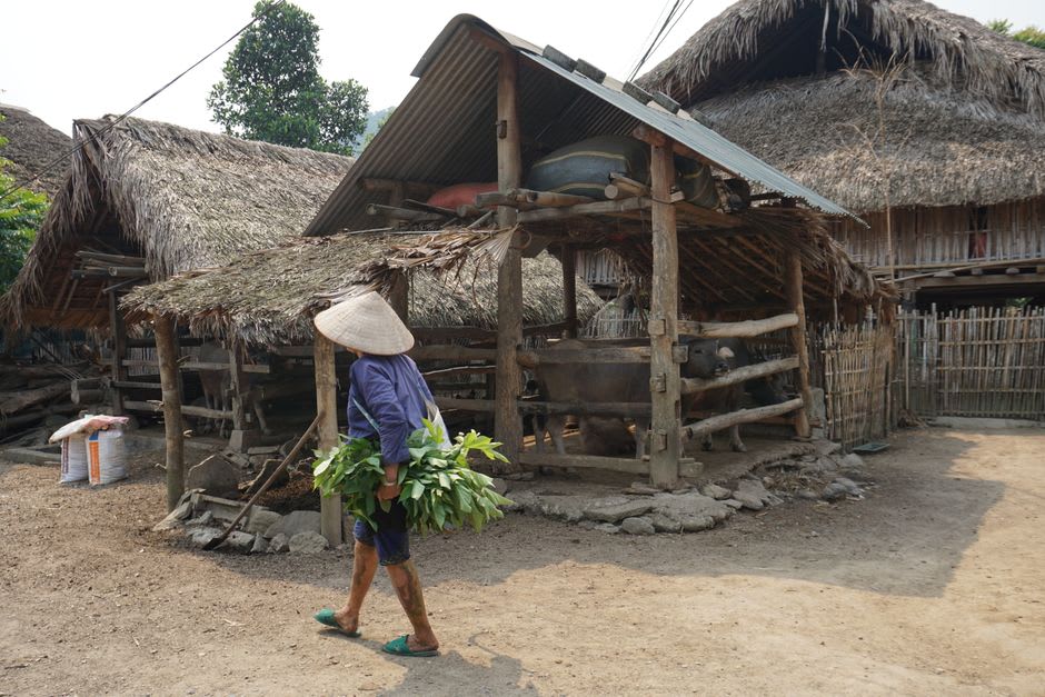 Stilt houses on the shore of Ba Be Lake with a fisherman paddling a traditional wooden boat