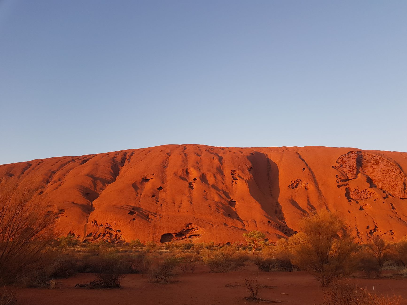 Walpa Gorge at afternoon light, desert oak trees and boulders lining the path between two massive red conglomerate domes