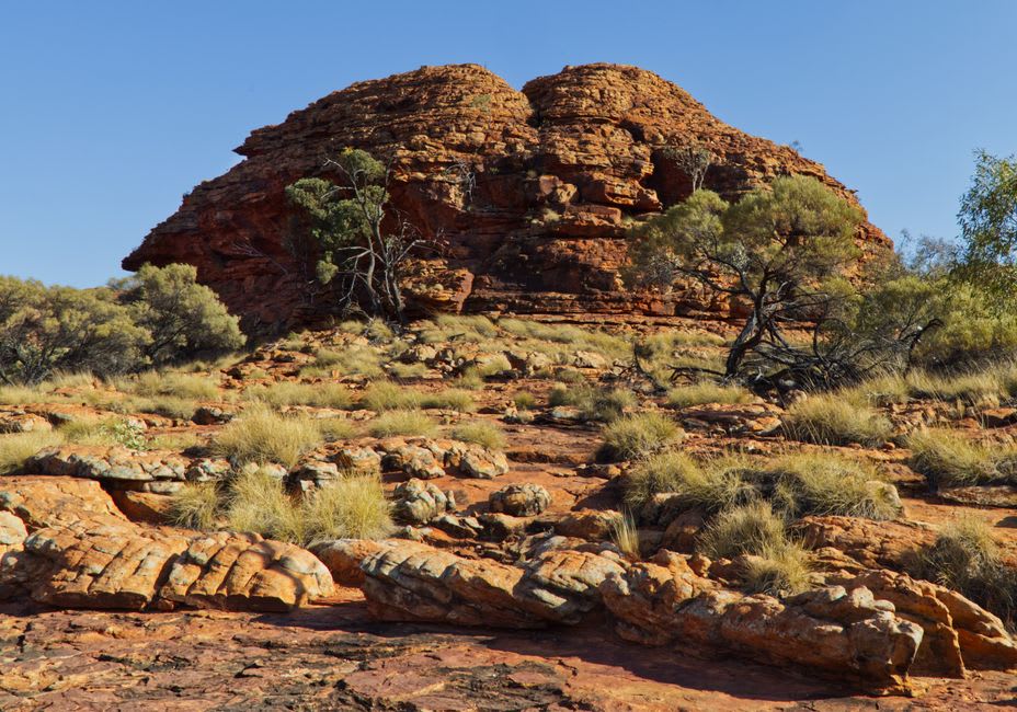 The shaded waterhole of the Garden of Eden at Kings Canyon, cycads and paperbark trees growing at the base of sheer sandstone cliffs