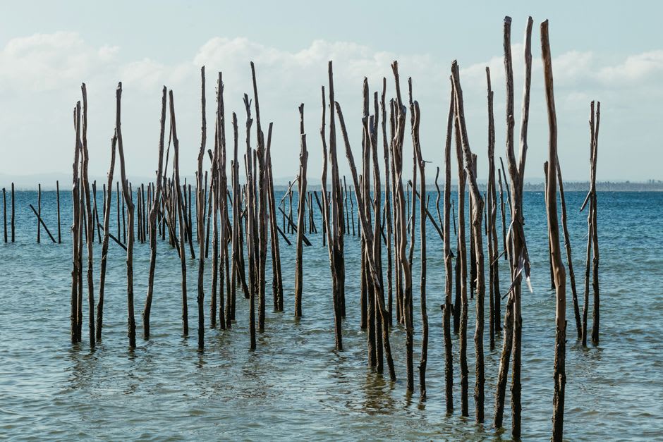 Postes funerarios pukumani tiwi tallados y pintados frente a un centro de arte comunitario en la isla Bathurst