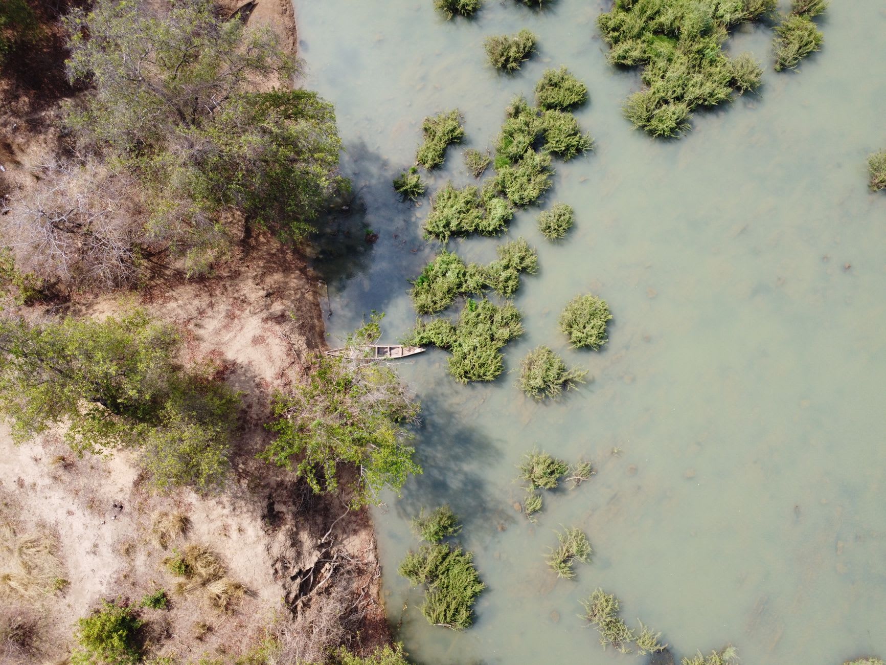 Una manada de lechwes rojos galopando por las aguas poco profundas de las llanuras de Jao, el agua cayendo en cascada de sus patas, silueteados contra un amplio cielo naranja