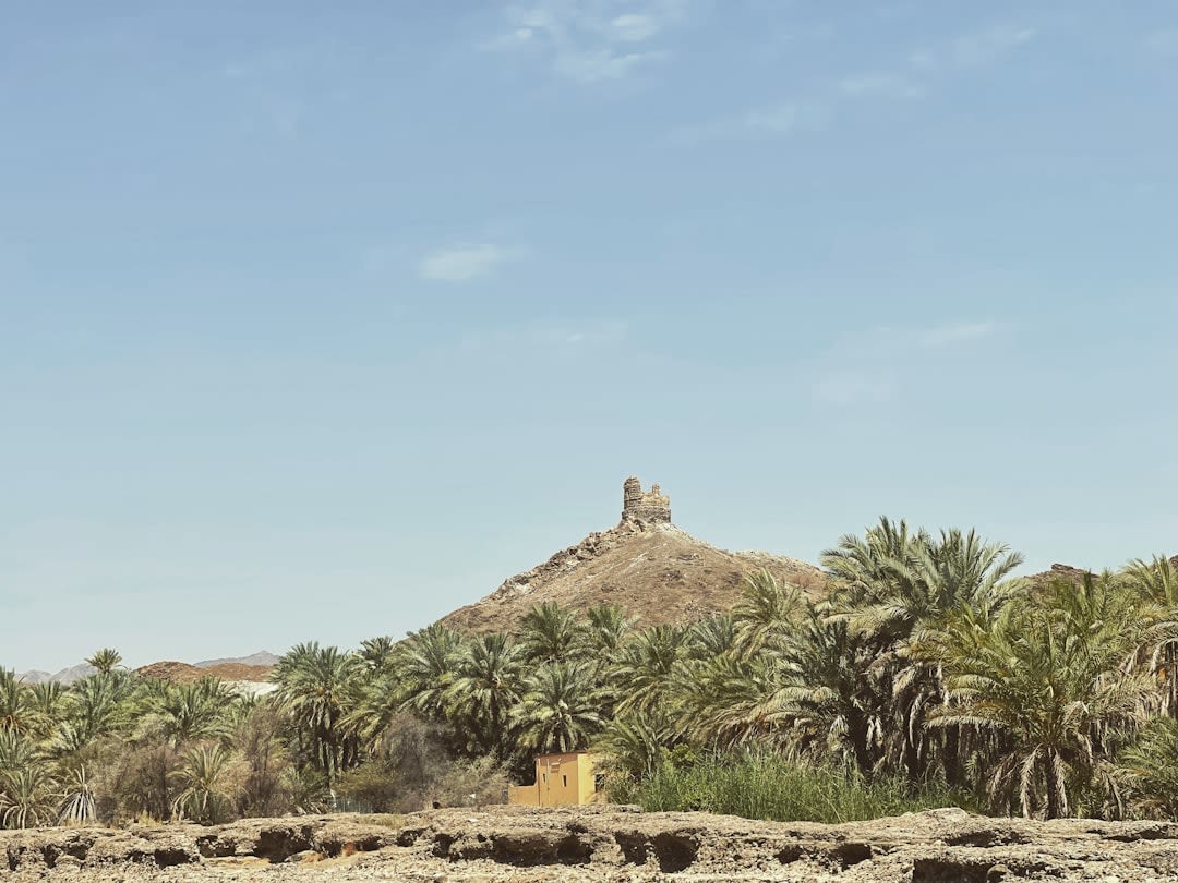Steam rising gently from the warm mineral waters of Ain Al Kasfah spring near Rustaq