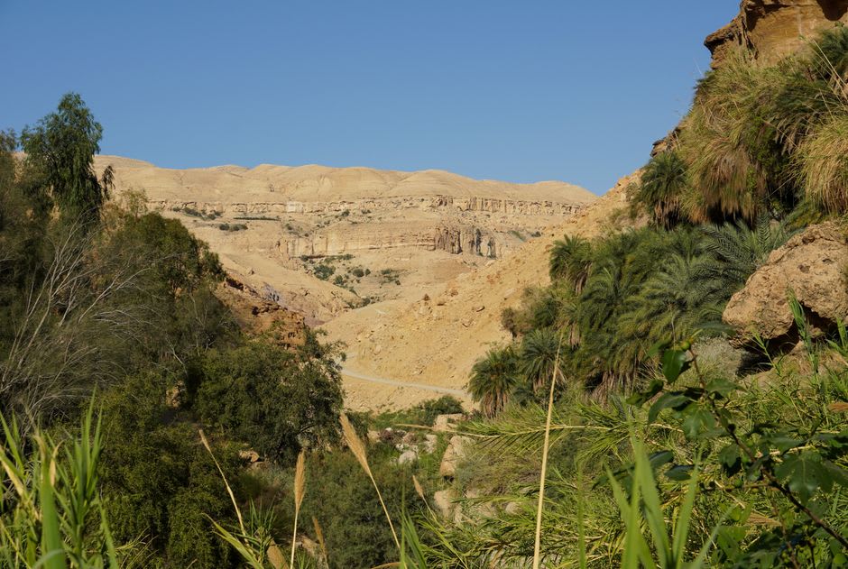 Un bassin limpide alimenté par une source dans un virage étroit de Wadi Damm, des parois de dolomite s'élevant de chaque côté