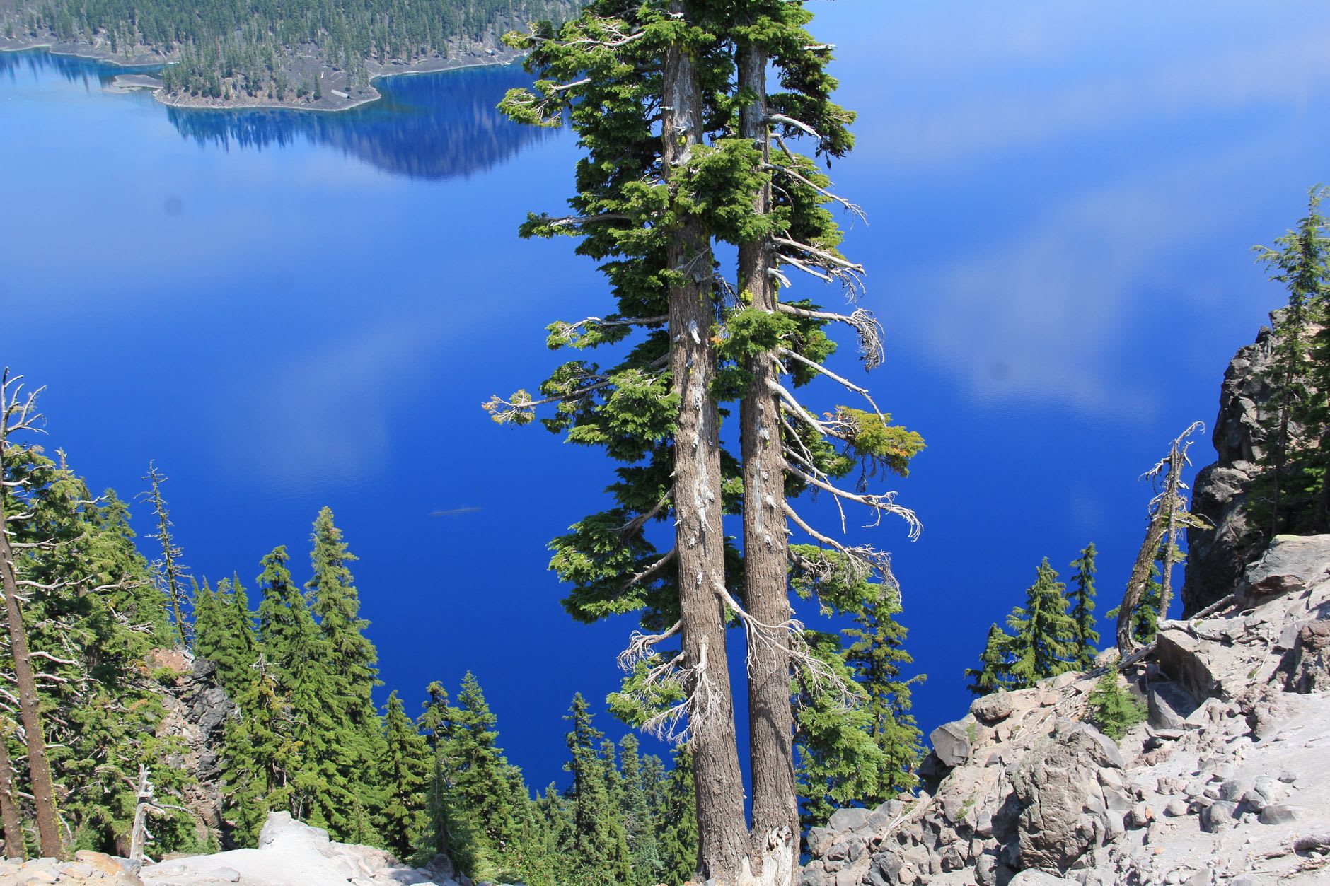 The Crater Lake rim road winding along the caldera edge with forest and blue water below