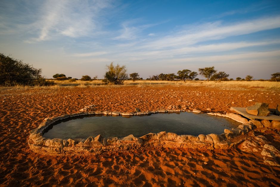 The wide waterhole at Ormiston Gorge ringed by river red gums beneath striped orange and purple quartzite cliffs