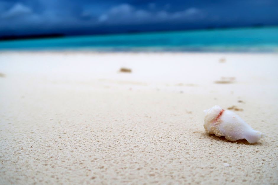 Prince's Strand, the pale sand beach where Bonnie Prince Charlie landed in 1745