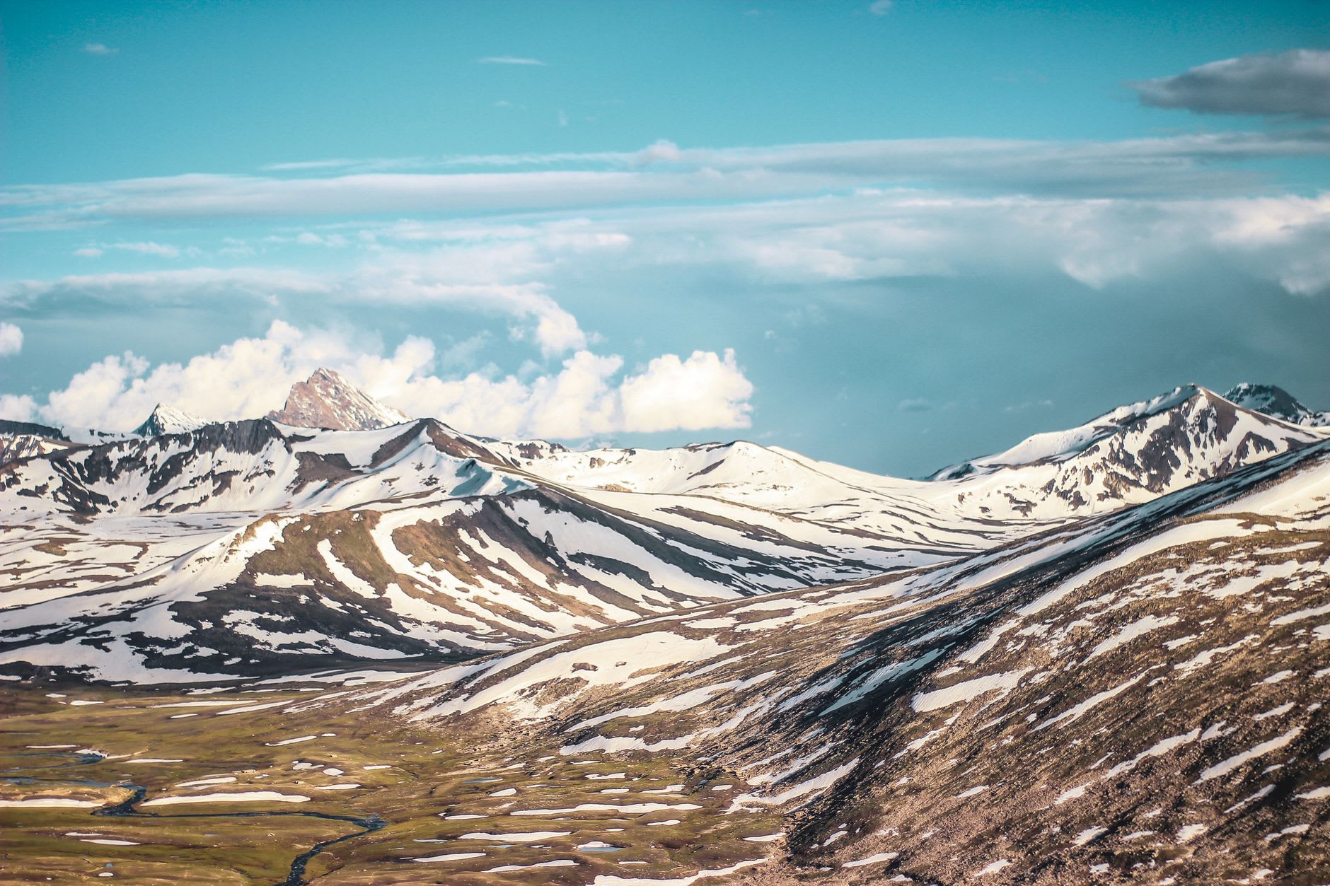 Carpet of wildflowers across the Deosai plateau with a 4x4 track and snow-streaked peaks beyond, Gilgit-Baltistan, Pakistan