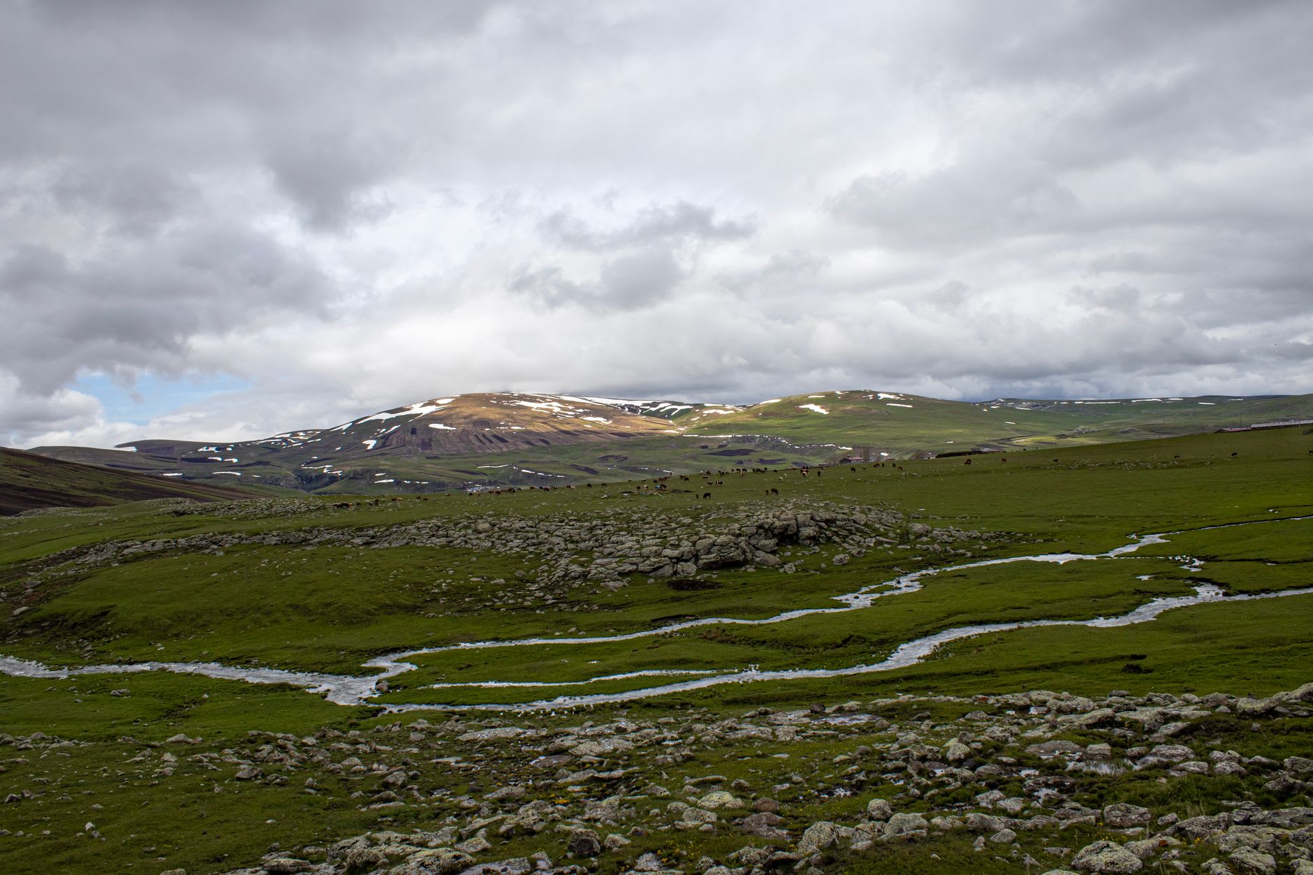 Deep blue Sheosar Lake on the Deosai plateau with distant Himalayan peaks, Gilgit-Baltistan, Pakistan