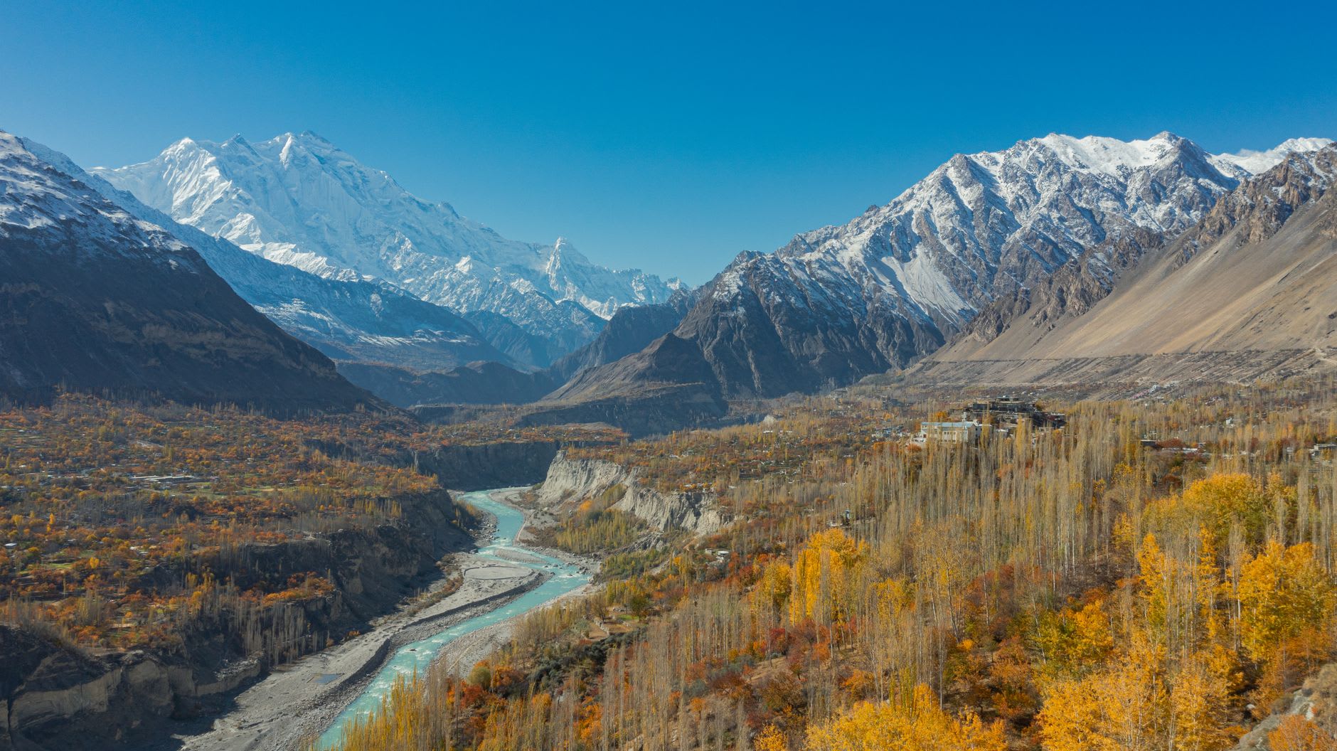 Apricot trees in full fruit above the rooftops of Karimabad, Rakaposhi summit beyond
