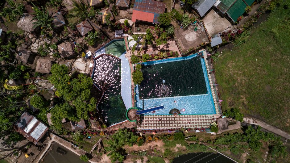 Local families swimming at the Ain al-Auja spring pool shaded by palm and eucalyptus trees