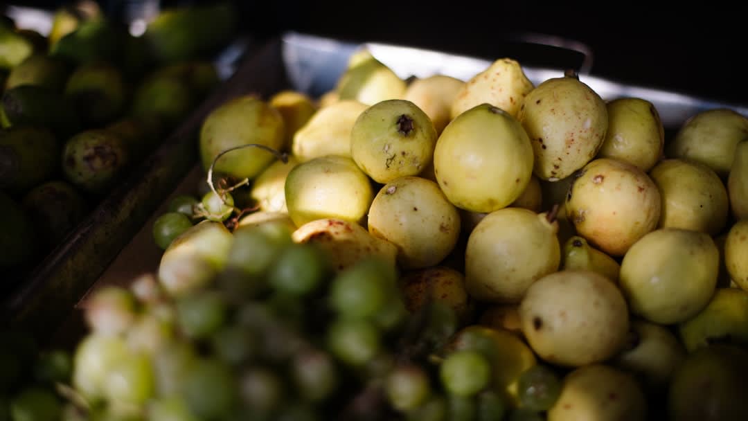 Stalls piled with oranges and guavas at Tulkarm's central produce market