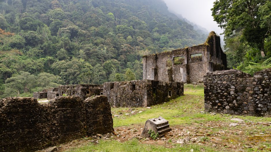 Overgrown ruins of the former Coiba penal colony buildings being slowly reclaimed by tropical vegetation