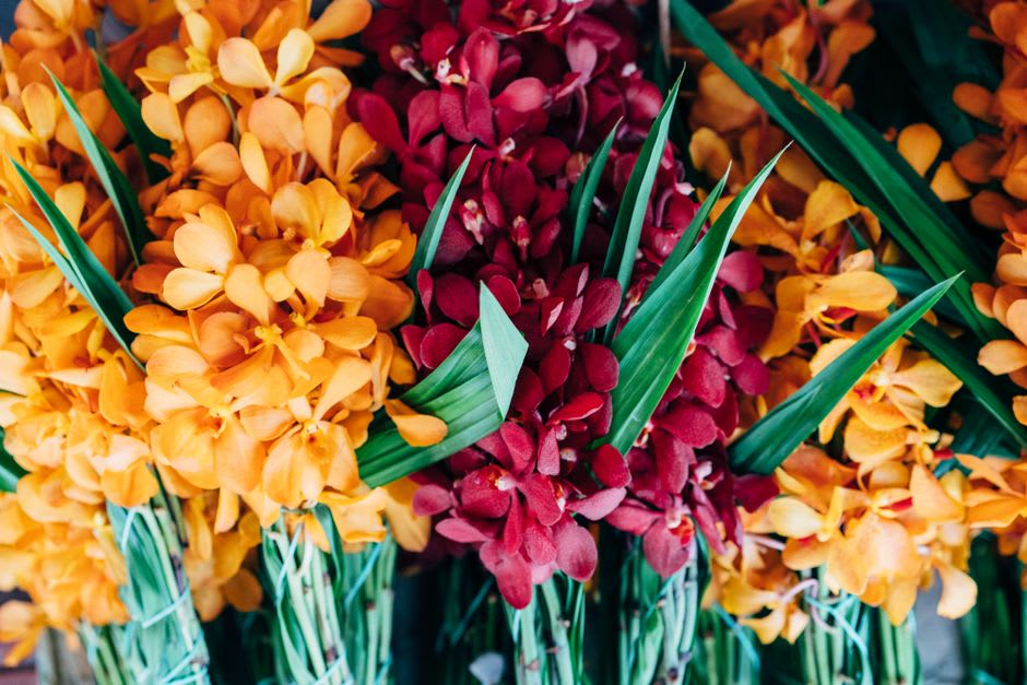 Filas de coloridas orquídeas y canastas tejidas a mano a la venta en el mercado dominical de El Valle de Antón