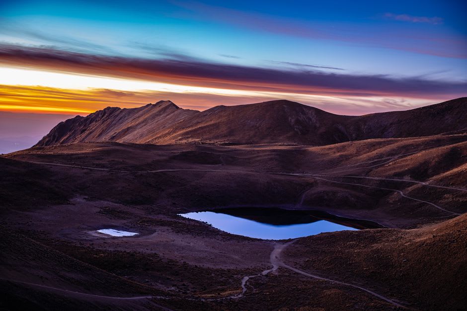 The still, shallow waters of the Lagunas de Volcán crater lakes at dusk, cattle egrets settling into the reeds