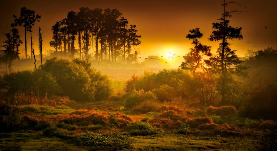 The forested slopes of Serra do Amolar meeting the wetland below at golden hour