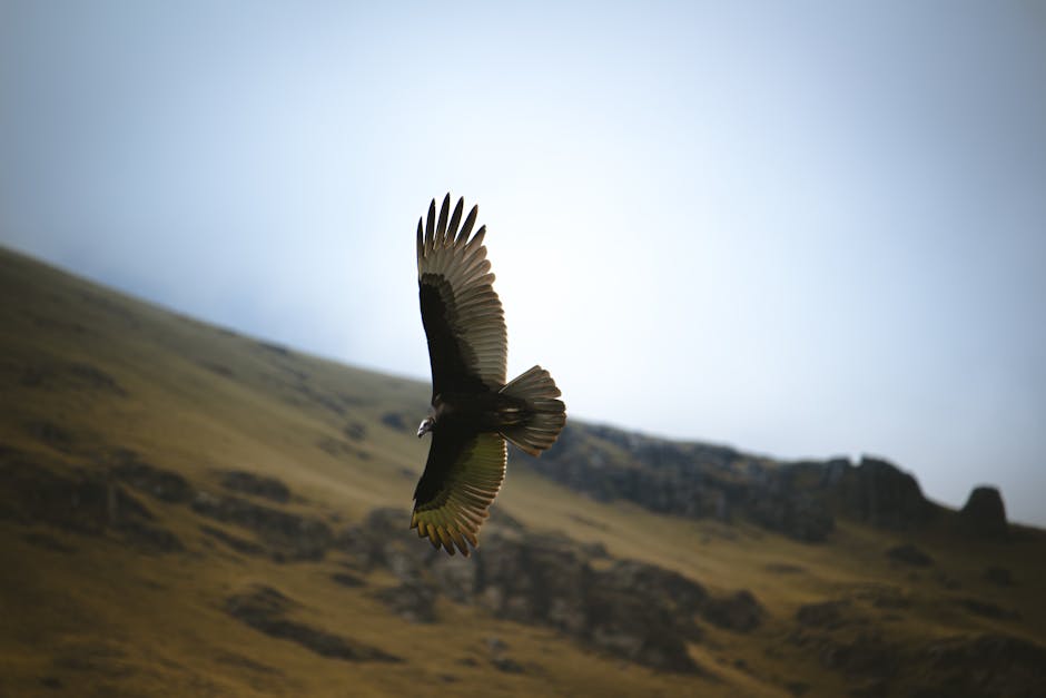 Terraced hillsides and traditional village nestled in the Colca Valley